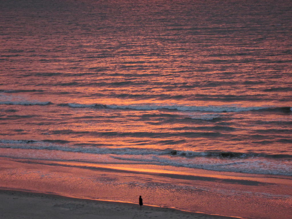 suzanne-deryckereweb